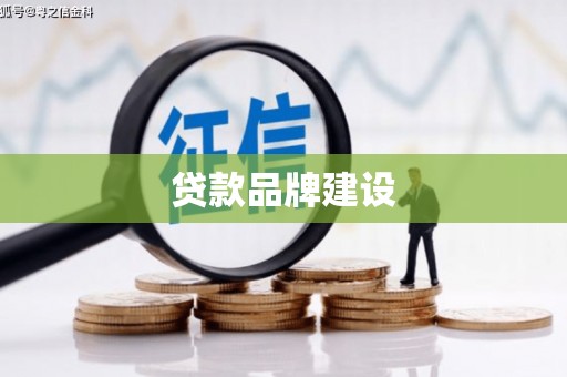 碑林贷款品牌建设