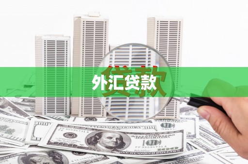 碑林外汇贷款