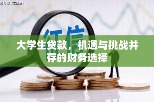 碑林大学生贷款，机遇与挑战并存的财务选择