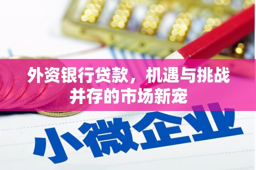 碑林外资银行贷款，机遇与挑战并存的市场新宠