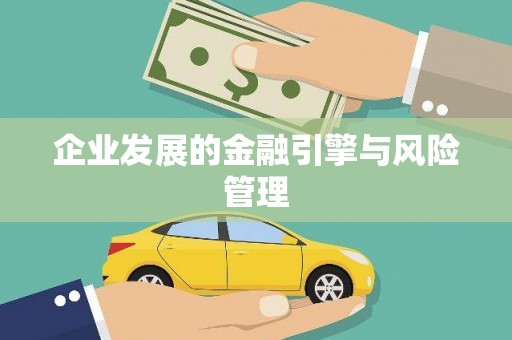 碑林企业发展的金融引擎与风险管理