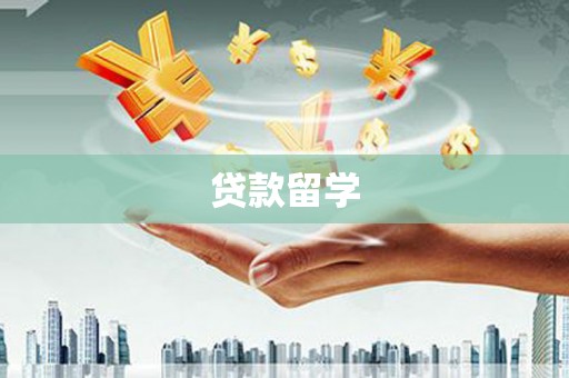 碑林贷款留学