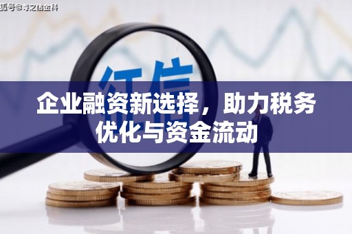 碑林企业融资新选择，助力税务优化与资金流动