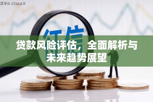 碑林贷款风险评估，全面解析与未来趋势展望