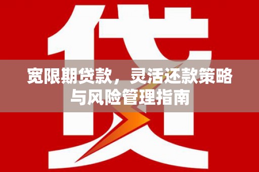 碑林宽限期贷款，灵活还款策略与风险管理指南