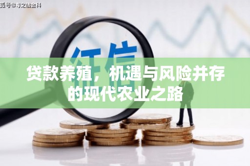 碑林贷款养殖，机遇与风险并存的现代农业之路