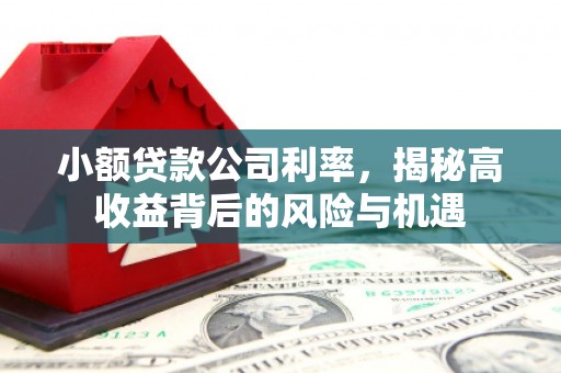 碑林小额贷款公司利率，揭秘高收益背后的风险与机遇