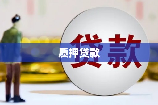 碑林质押贷款