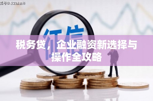 碑林税务贷，企业融资新选择与操作全攻略