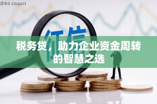 碑林税务贷，助力企业资金周转的智慧之选