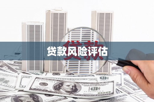 碑林贷款风险评估