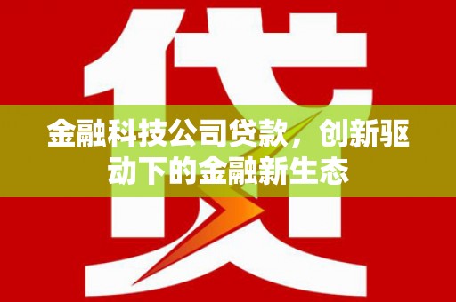 碑林金融科技公司贷款，创新驱动下的金融新生态