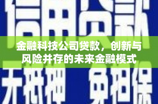 碑林金融科技公司贷款，创新与风险并存的未来金融模式