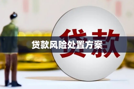 碑林贷款风险处置方案
