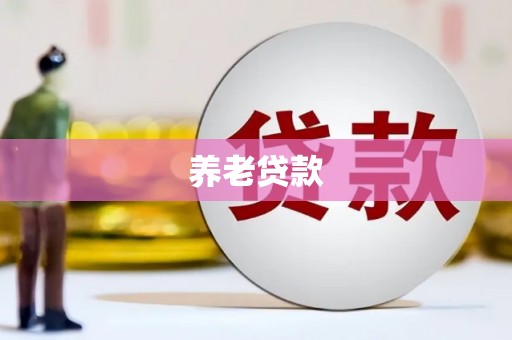 碑林养老贷款