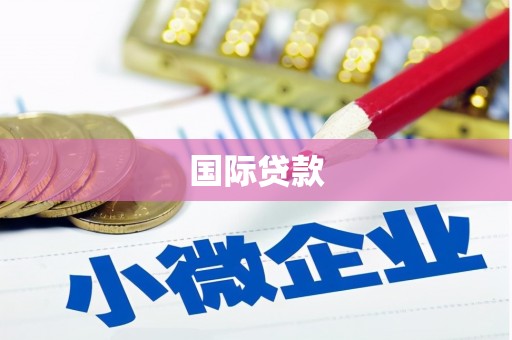 碑林国际贷款