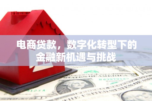 碑林电商贷款，数字化转型下的金融新机遇与挑战