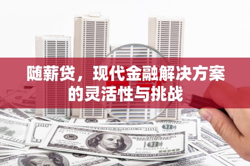 碑林随薪贷，现代金融解决方案的灵活性与挑战