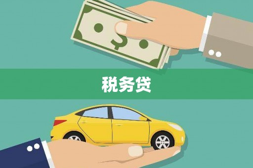 碑林税务贷