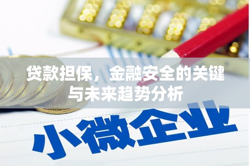 碑林贷款担保，金融安全的关键与未来趋势分析