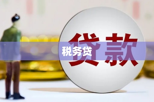 碑林税务贷
