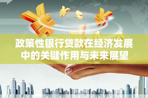 碑林政策性银行贷款在经济发展中的关键作用与未来展望