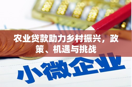 碑林农业贷款助力乡村振兴，政策、机遇与挑战