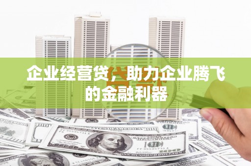 碑林企业经营贷，助力企业腾飞的金融利器