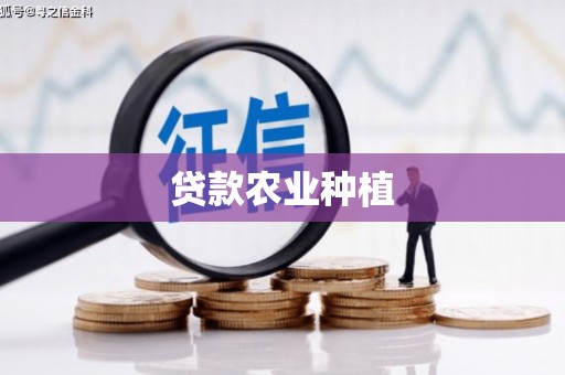 碑林贷款农业种植