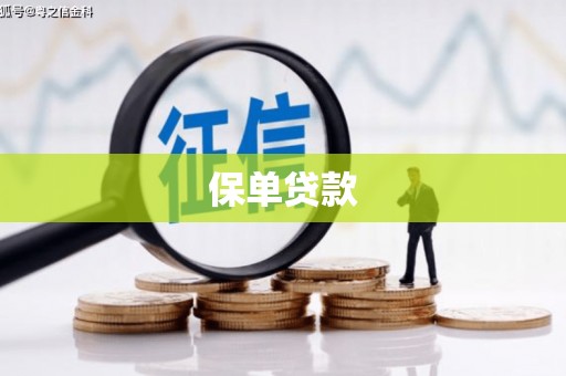 碑林保单贷款