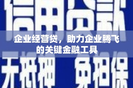 碑林企业经营贷，助力企业腾飞的关键金融工具