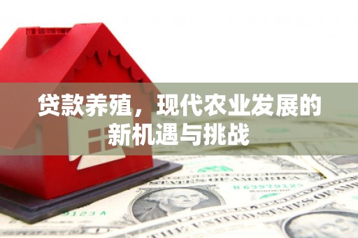 碑林贷款养殖，现代农业发展的新机遇与挑战