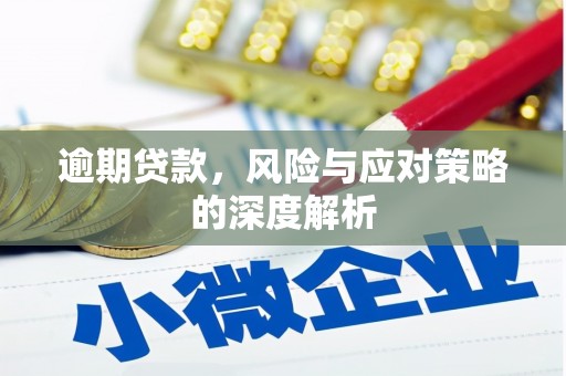 碑林逾期贷款，风险与应对策略的深度解析