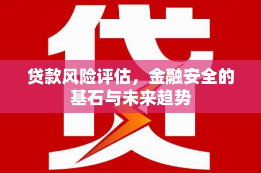 碑林贷款风险评估，金融安全的基石与未来趋势