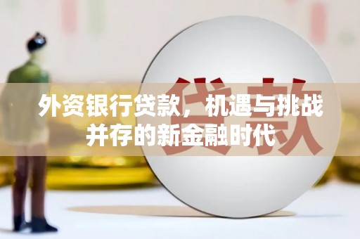 碑林外资银行贷款，机遇与挑战并存的新金融时代