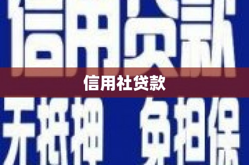 碑林信用社贷款