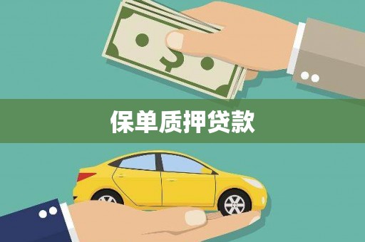 碑林保单质押贷款