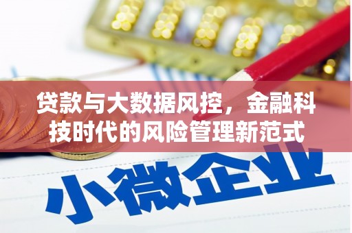 碑林贷款与大数据风控，金融科技时代的风险管理新范式