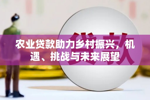 碑林农业贷款助力乡村振兴，机遇、挑战与未来展望