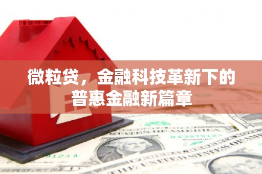 碑林微粒贷，金融科技革新下的普惠金融新篇章