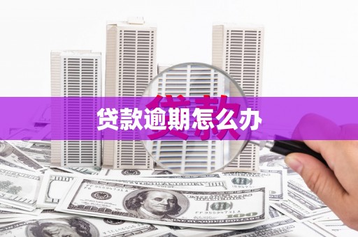 碑林贷款逾期怎么办