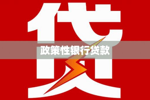 碑林政策性银行贷款