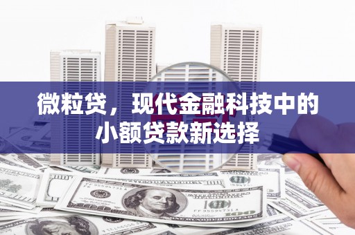 碑林微粒贷，现代金融科技中的小额贷款新选择