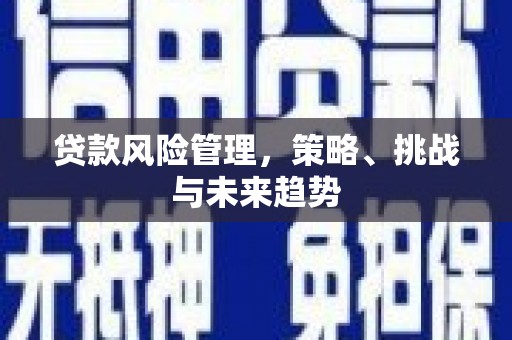 碑林贷款风险管理，策略、挑战与未来趋势