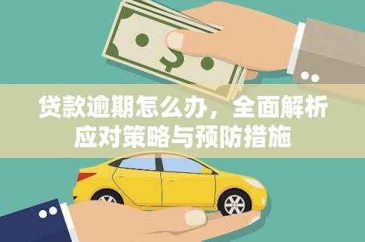 碑林贷款逾期怎么办，全面解析应对策略与预防措施