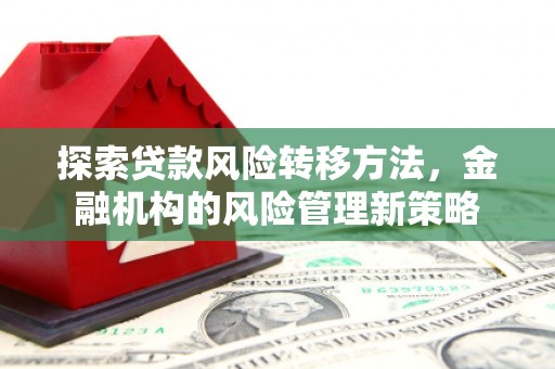 碑林探索贷款风险转移方法，金融机构的风险管理新策略
