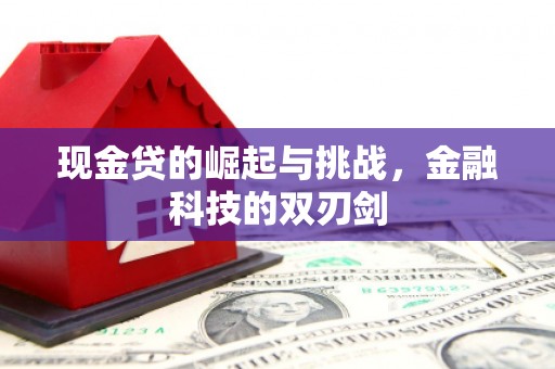 碑林现金贷的崛起与挑战，金融科技的双刃剑