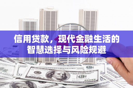 碑林信用贷款，现代金融生活的智慧选择与风险规避
