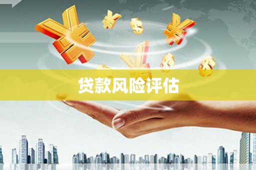 碑林贷款风险评估