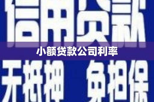 碑林小额贷款公司利率